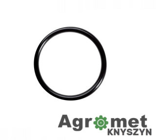 O-Ring 36 X 3
